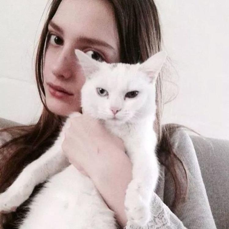 transfer666@Dashiell